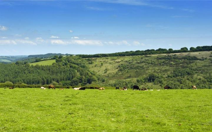 Zeal Farm Bed & Breakfast Dulverton Exterior photo